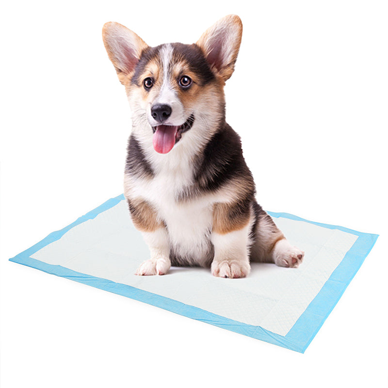 Dog Diapers: Super Absorbent Disposable Pee Pads