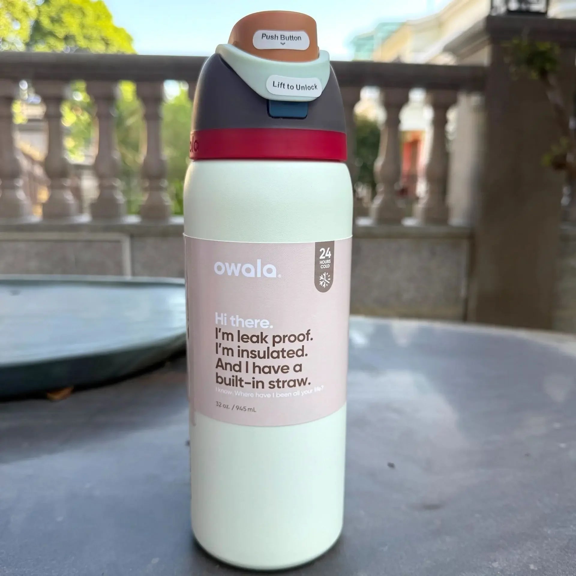 Owala Insulated Stainless Steel Water Bottle with Straw 24/32Oz